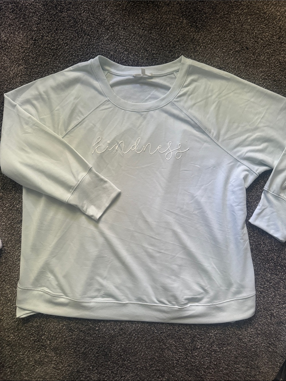 'Kindness' Embroidered Light Mint Pullover Sweatshirt